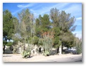 View from back of Casita.